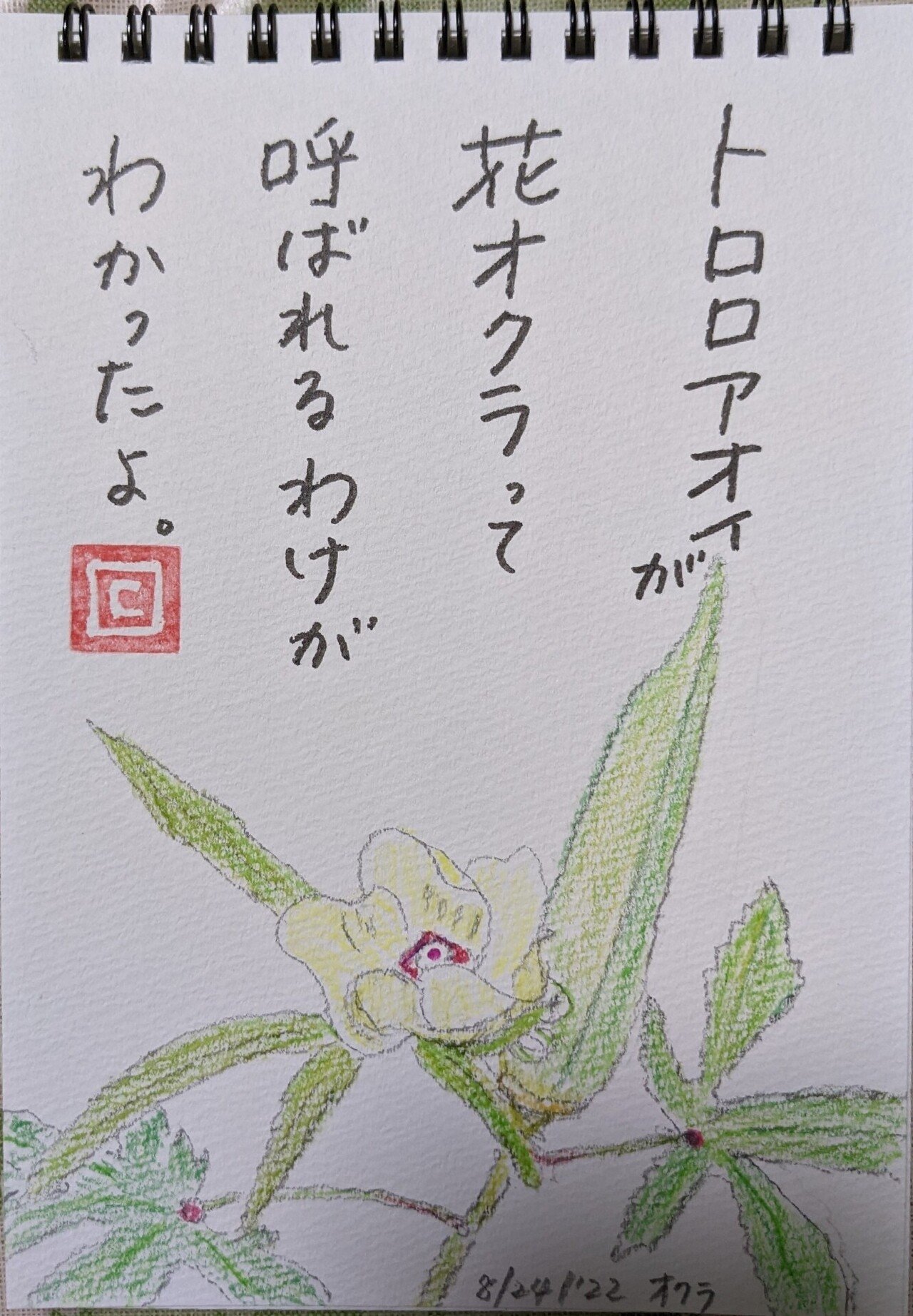 オクラの花 Cyndi Note オクラの花 Cyndi Note