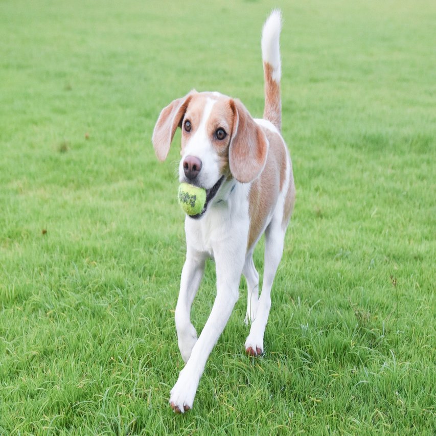 わたしの味噌汁はあなたの味噌汁じゃない 古賀史健 Note