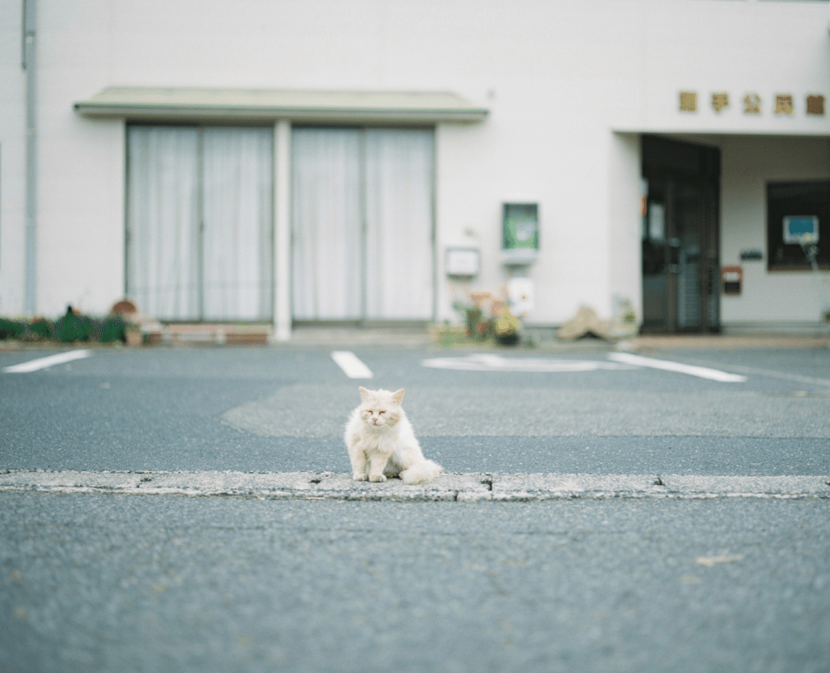 バケペンに魅せられて/#238｜SUBARU