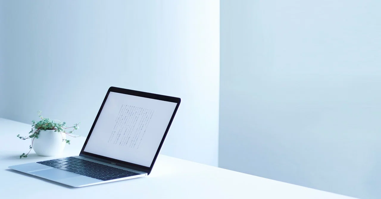 The text editor 