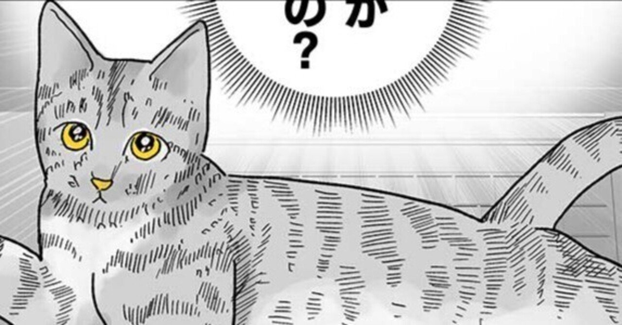 【熊猫杯2022】猫マンガ４P受賞