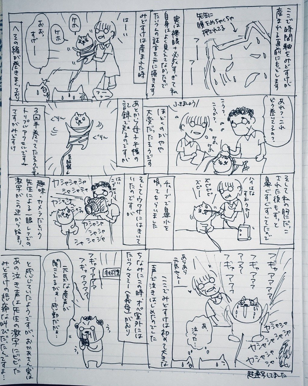 画像1