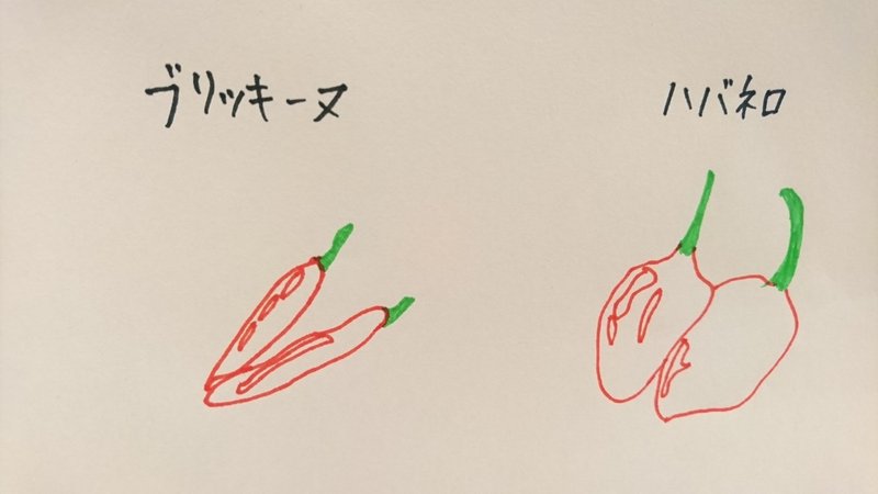 唐辛子には仲間がたくさん Areuspicy Note