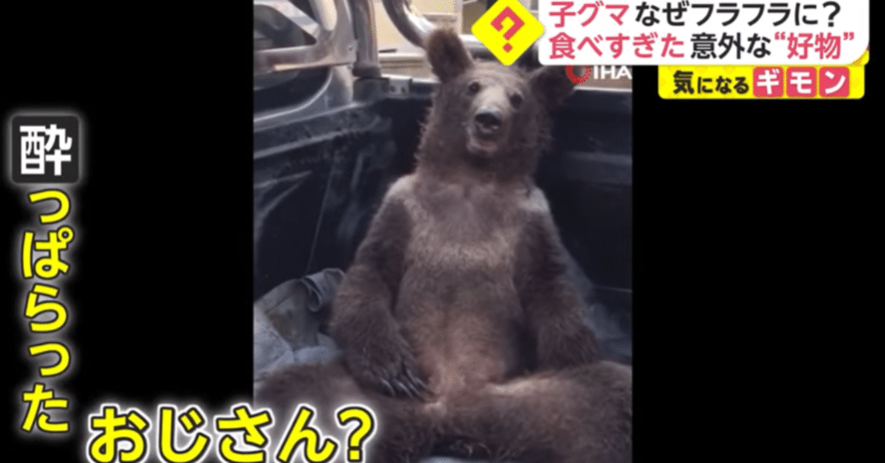 かわいい子熊 命の尊さ 厳しい熊の世界 小熊を殺す残酷な日本人 上達の探求 Note編 スキ制限中 Note かわいい子熊 命の尊さ 厳しい熊の世界 小熊を殺す残酷な日本人 上達の探求 Note編 スキ制限中 Note
