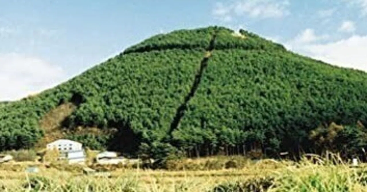 聴き語りtr.3：奥田民生「海猫」('98) - 何も起きない散歩のドラマ