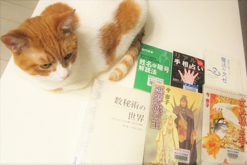 Imakiriエッセイ いまどきのキリスト者の静かな日常 猫 真帆 沁 Maho Shin 文筆家 Note