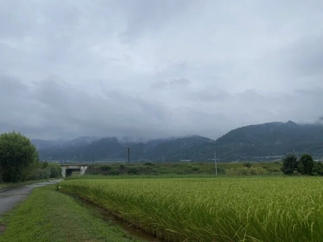 画像10