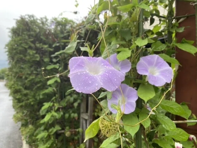 画像13