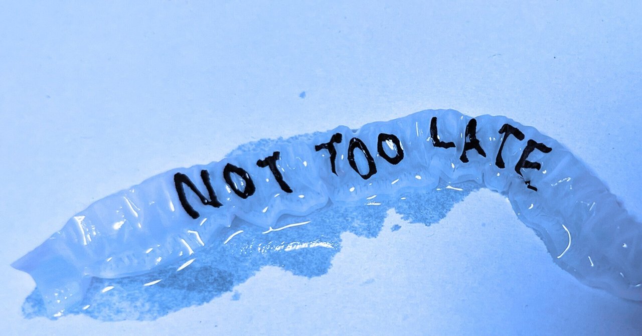 NOT TOO LATE #4: Tino Razo: PARTY IN THE BACK｜flotsambooks