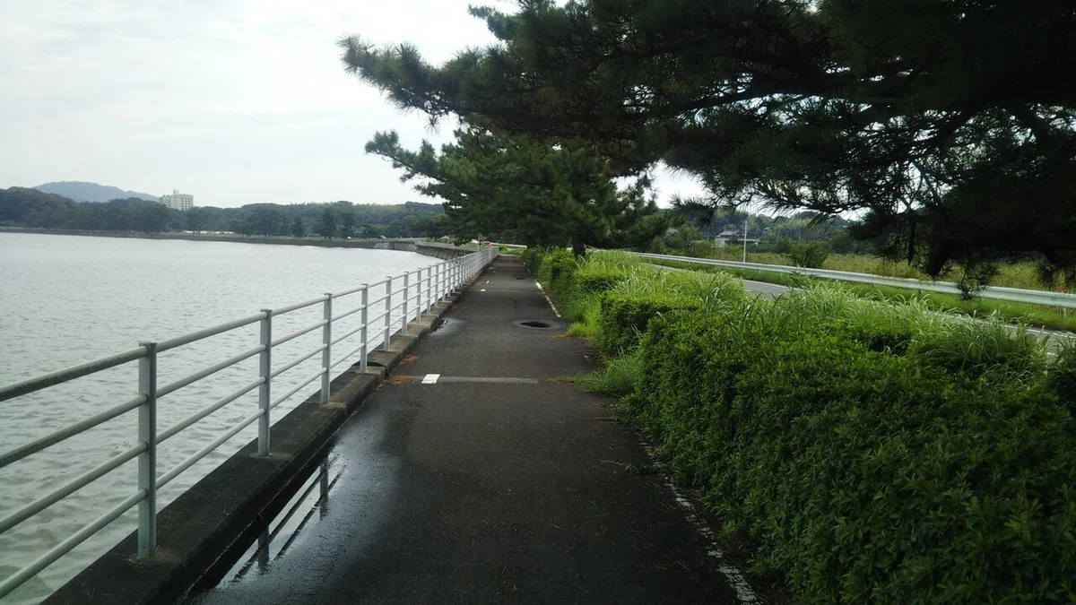 画像8