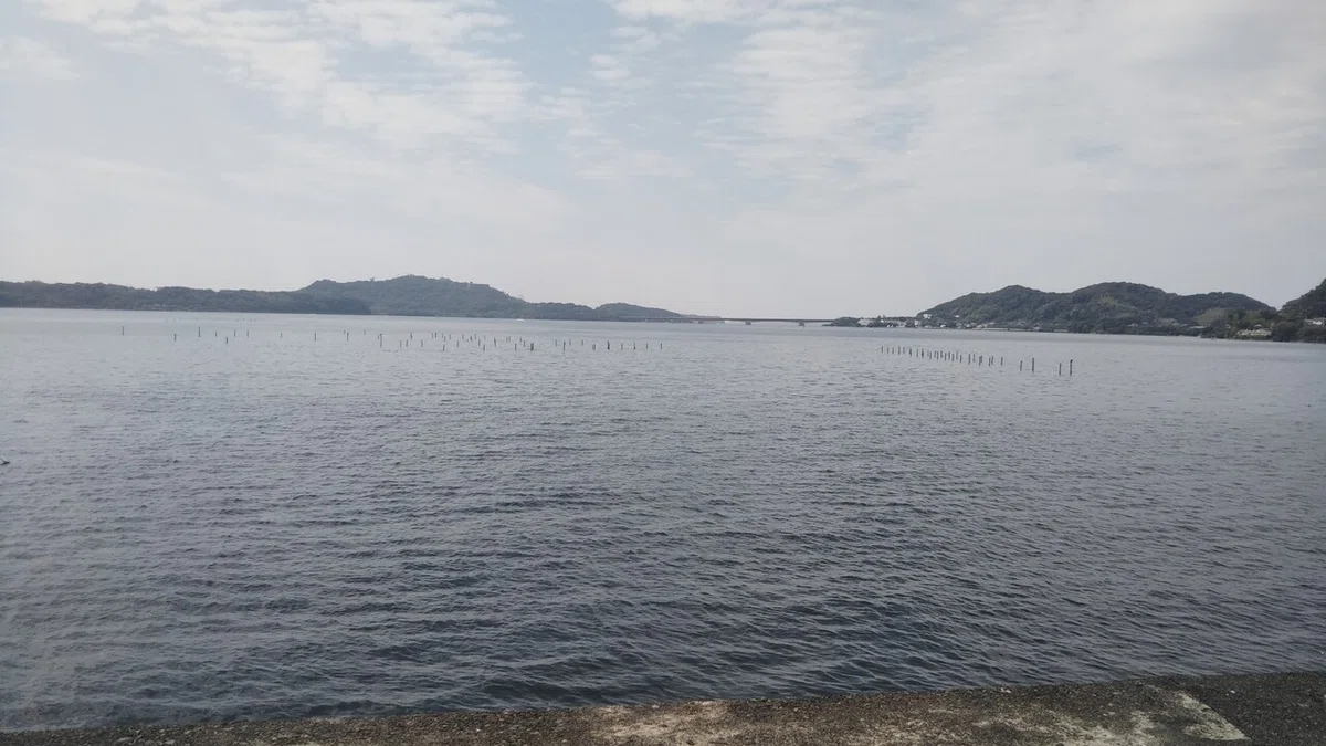 画像9