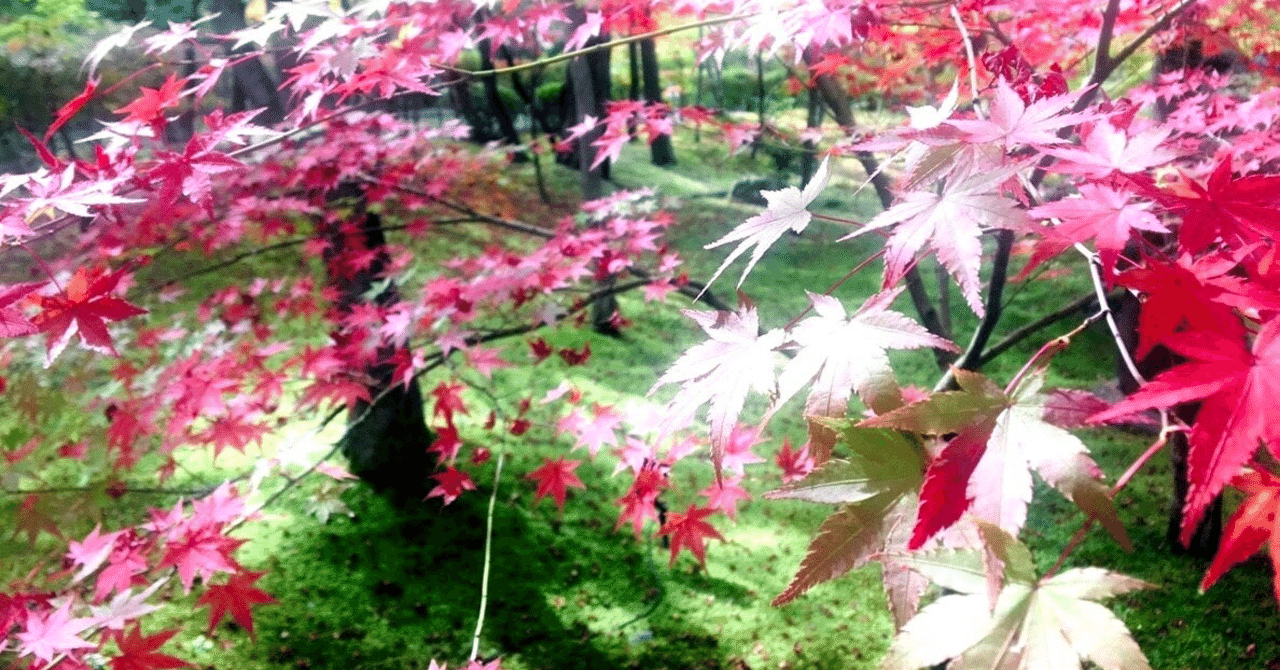 Mbti Intjと自覚するまで Intjの備忘録 Note Mbti Intjと自覚するまで Intjの備忘録 Note