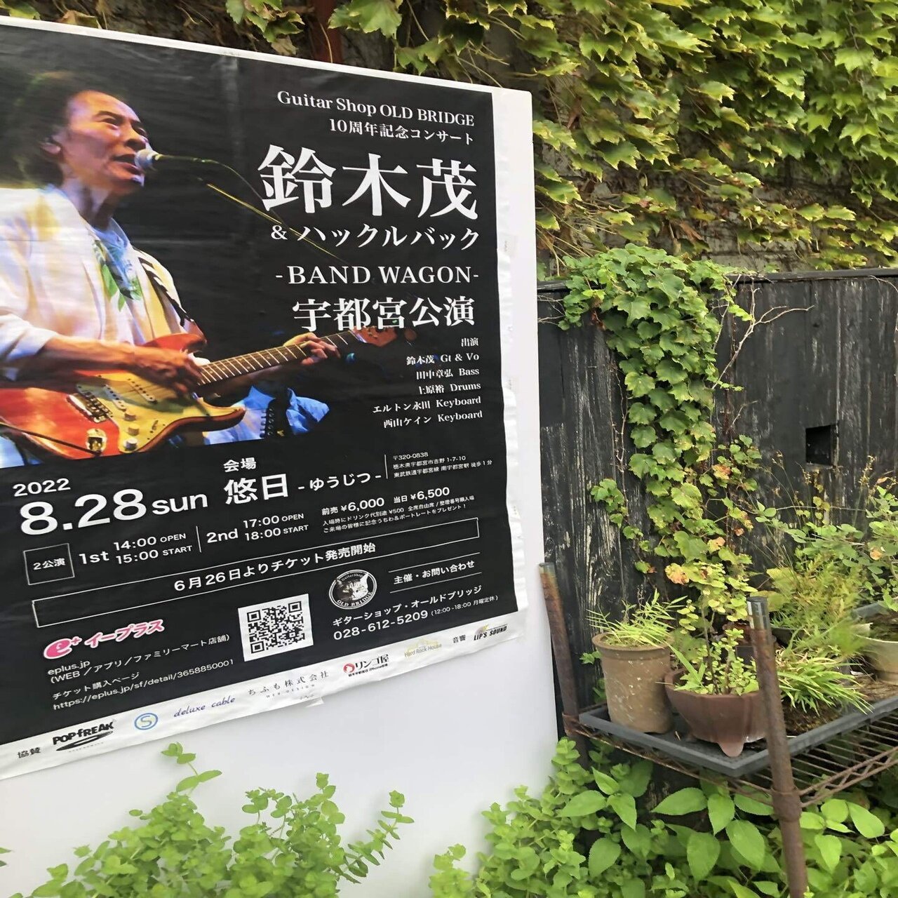 鈴木茂 ハックルバック 宇都宮悠日22 08 27 1st ステージ ネタバレ有り Bayasimplesongs Note