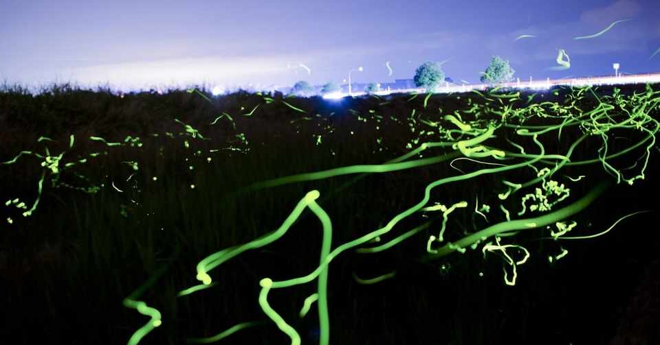 初めての武道館ライブのこと 青木空絵 Note