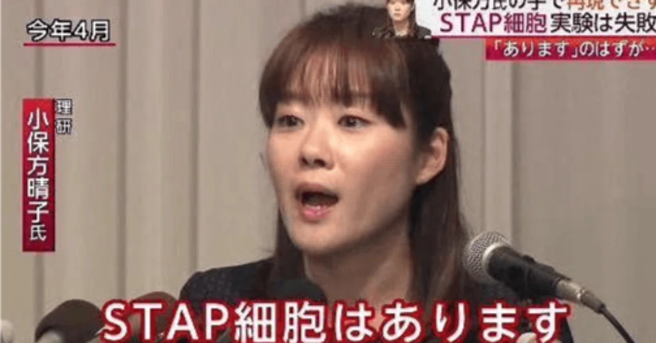 小保方 晴子 現在
