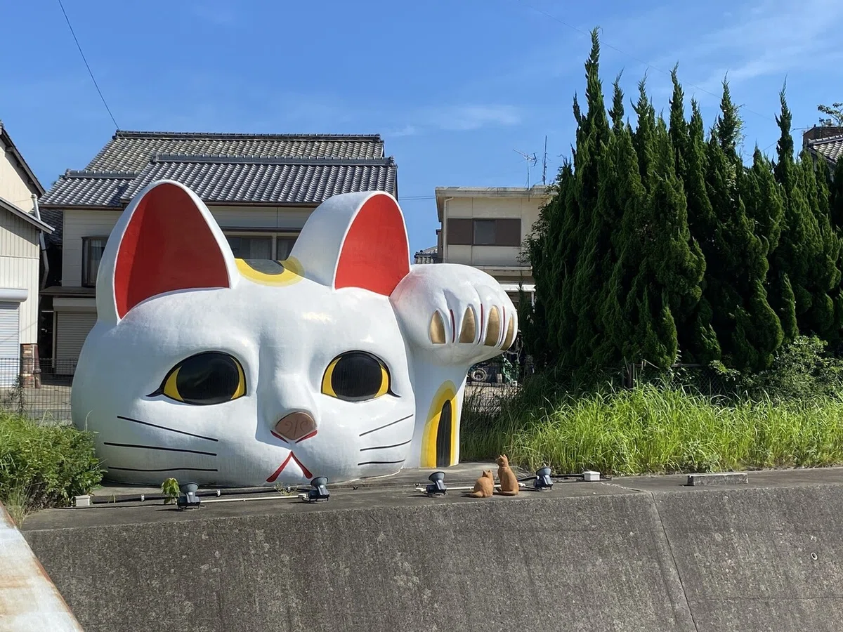 画像7