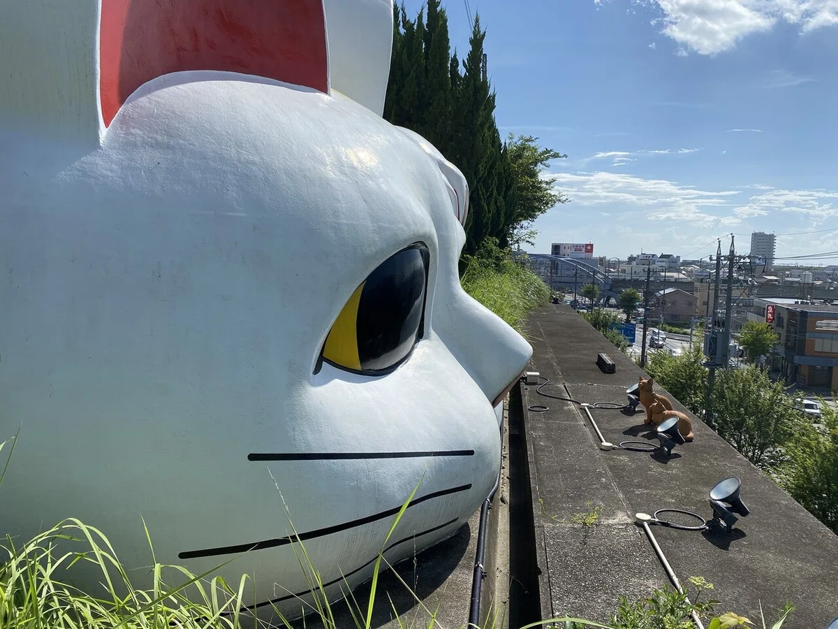 画像8