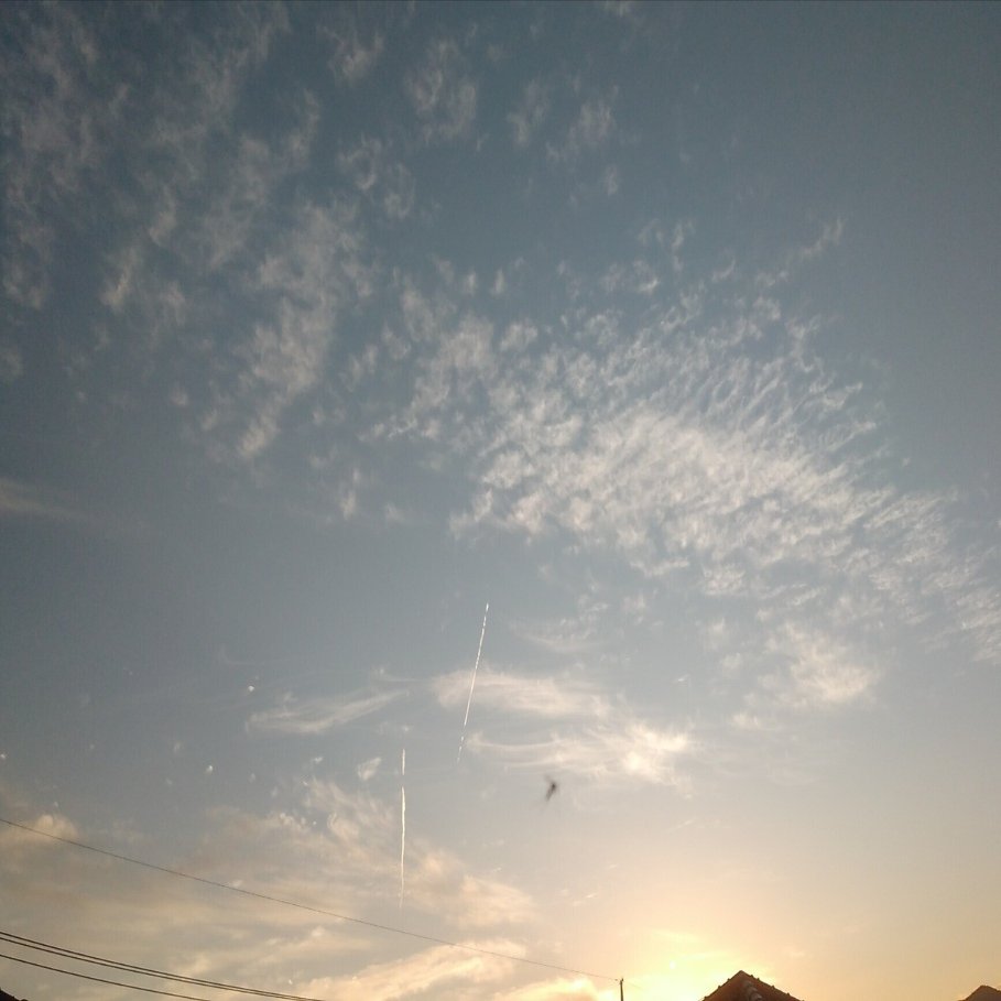 雲のかたち レンズ雲 - Wikipedia