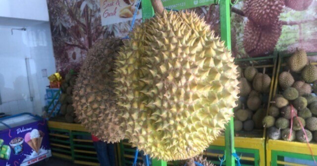 インドネシア マカッサルで果物の王様ドリアンの魅力にはまる Kenhappy Note インドネシア マカッサルで果物の王様ドリアンの魅力にはまる Kenhappy Note