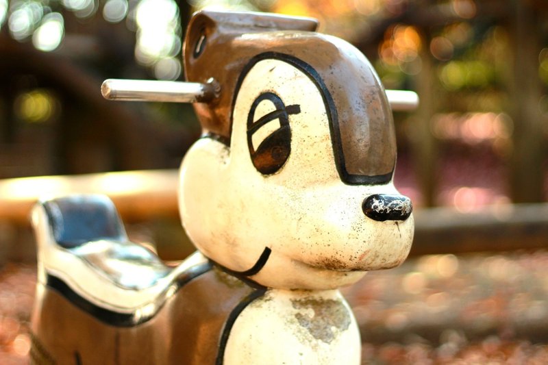 動物の遊具を撮るのが好き 七味さや Note