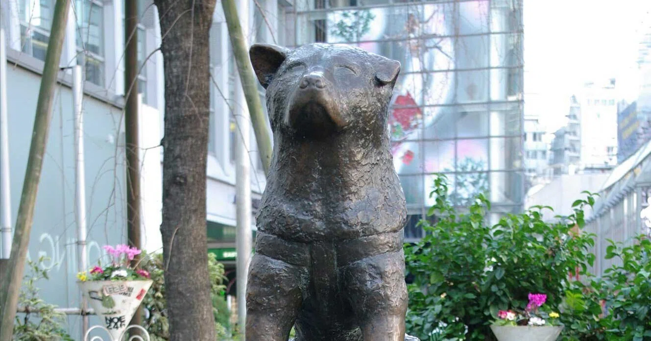 渋谷で人気の忠犬ハチ公から愛犬の死との向き合い方の解説｜LONITÉ_JP