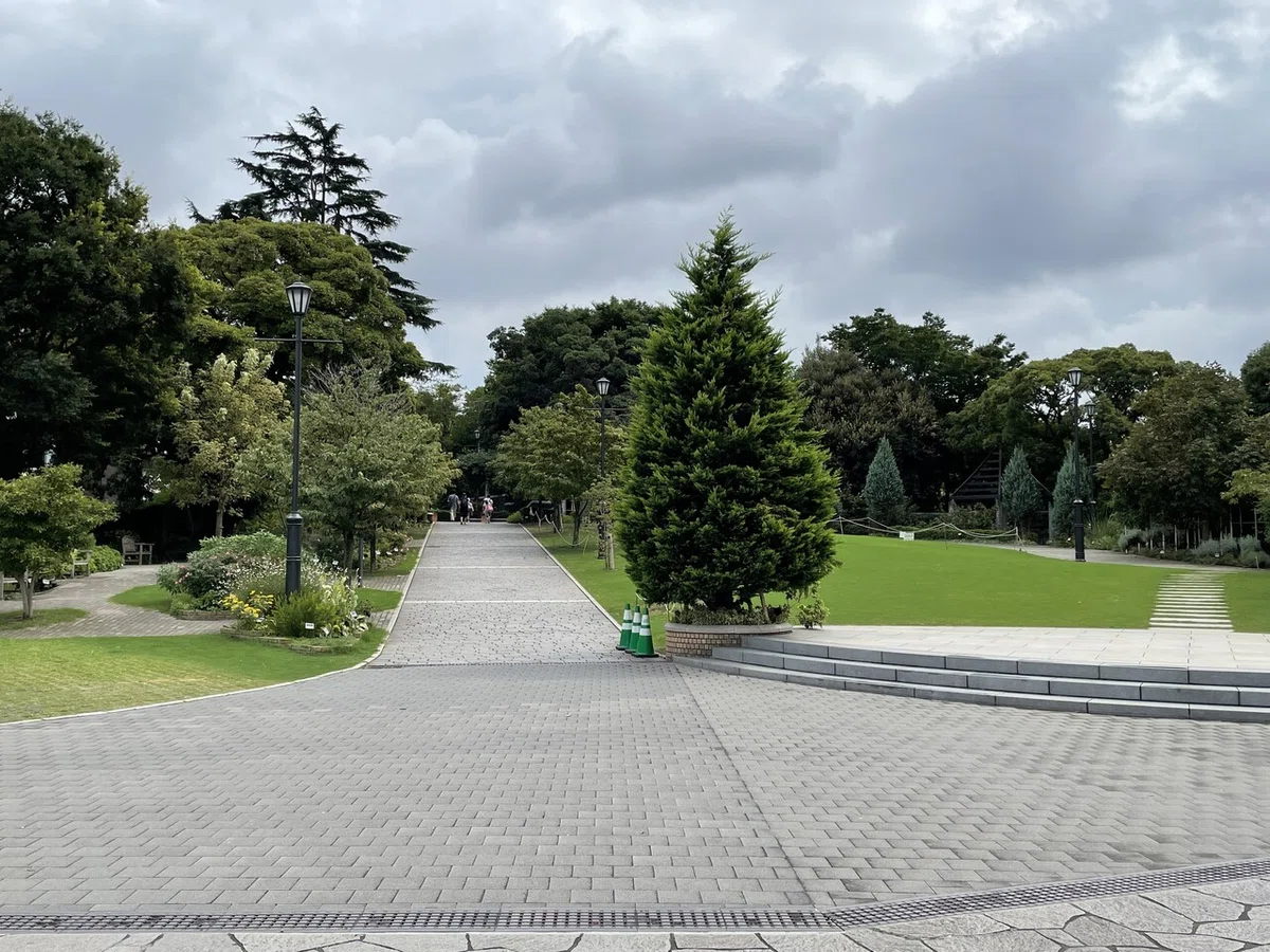 画像5