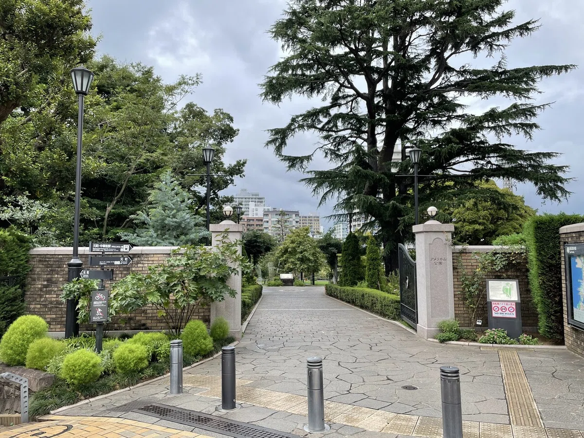 画像7