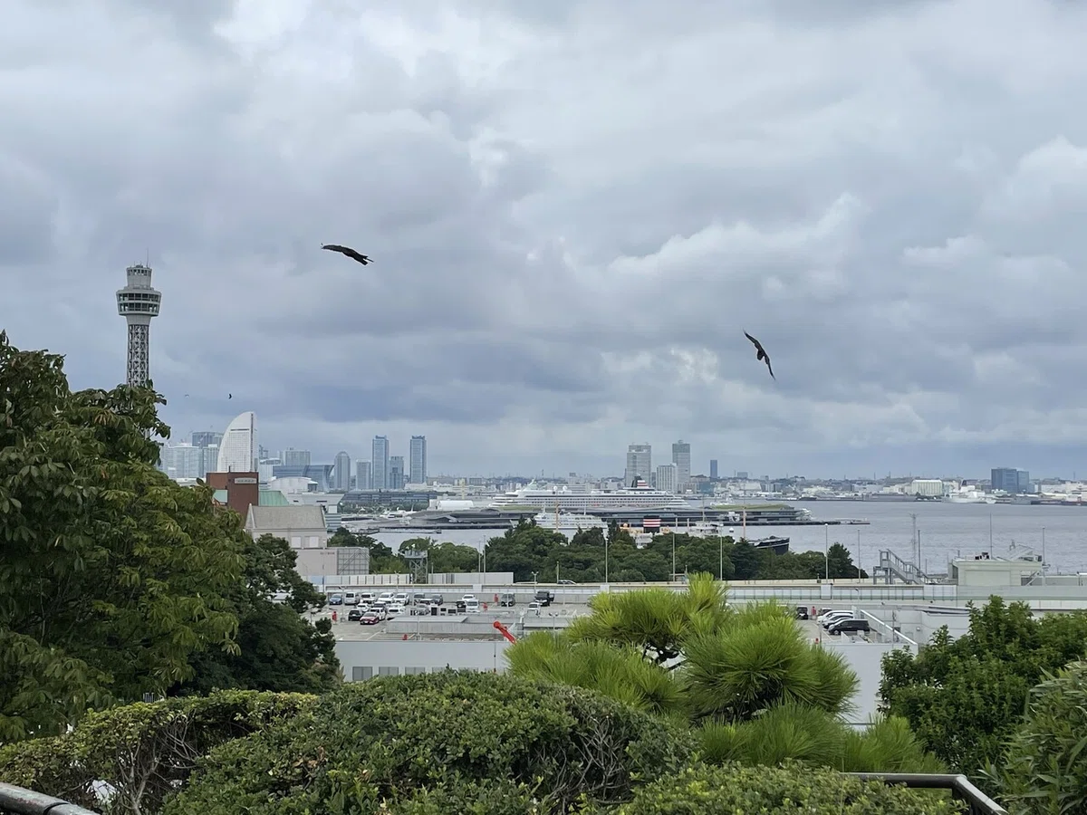 画像13