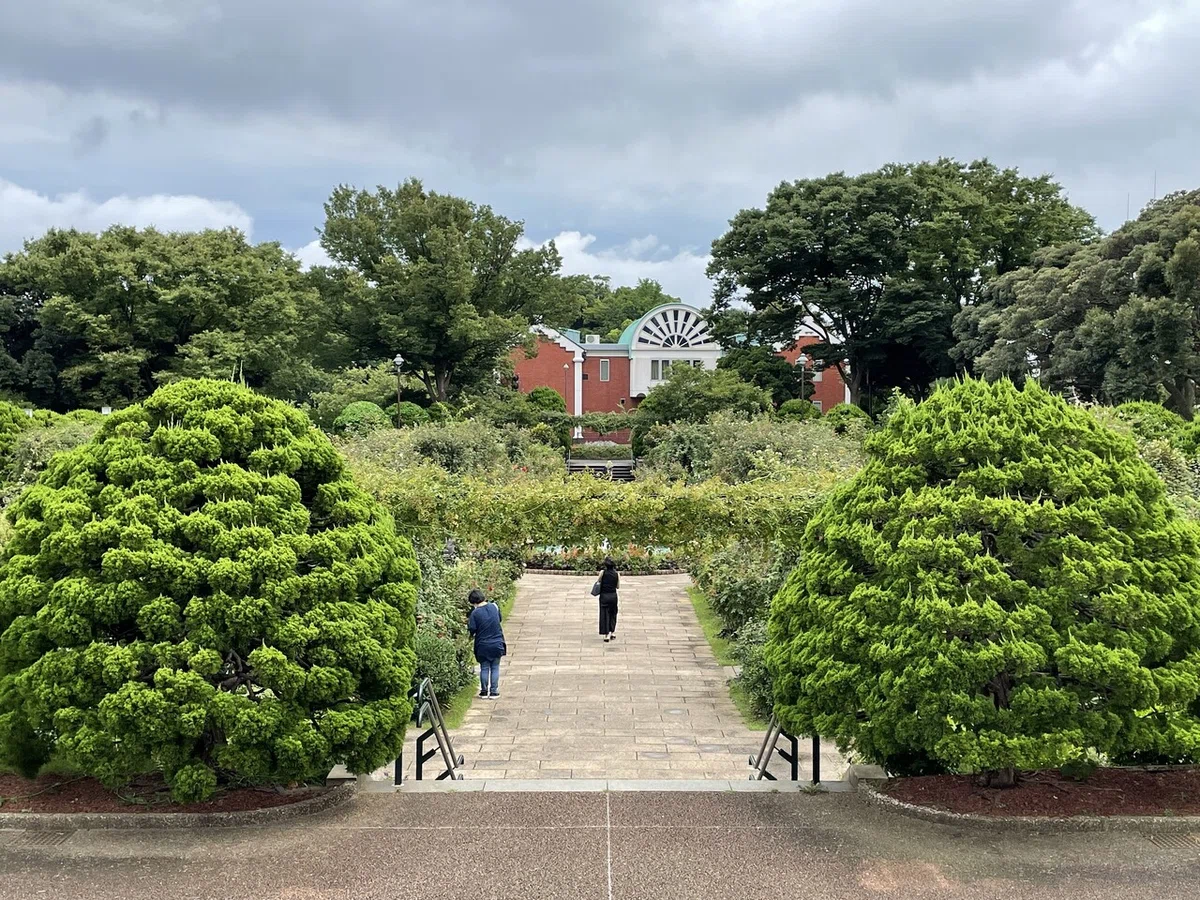 画像14