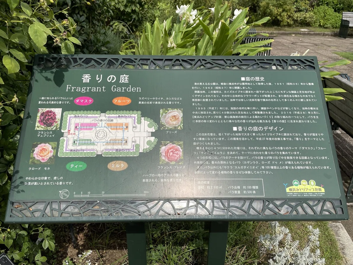 画像18