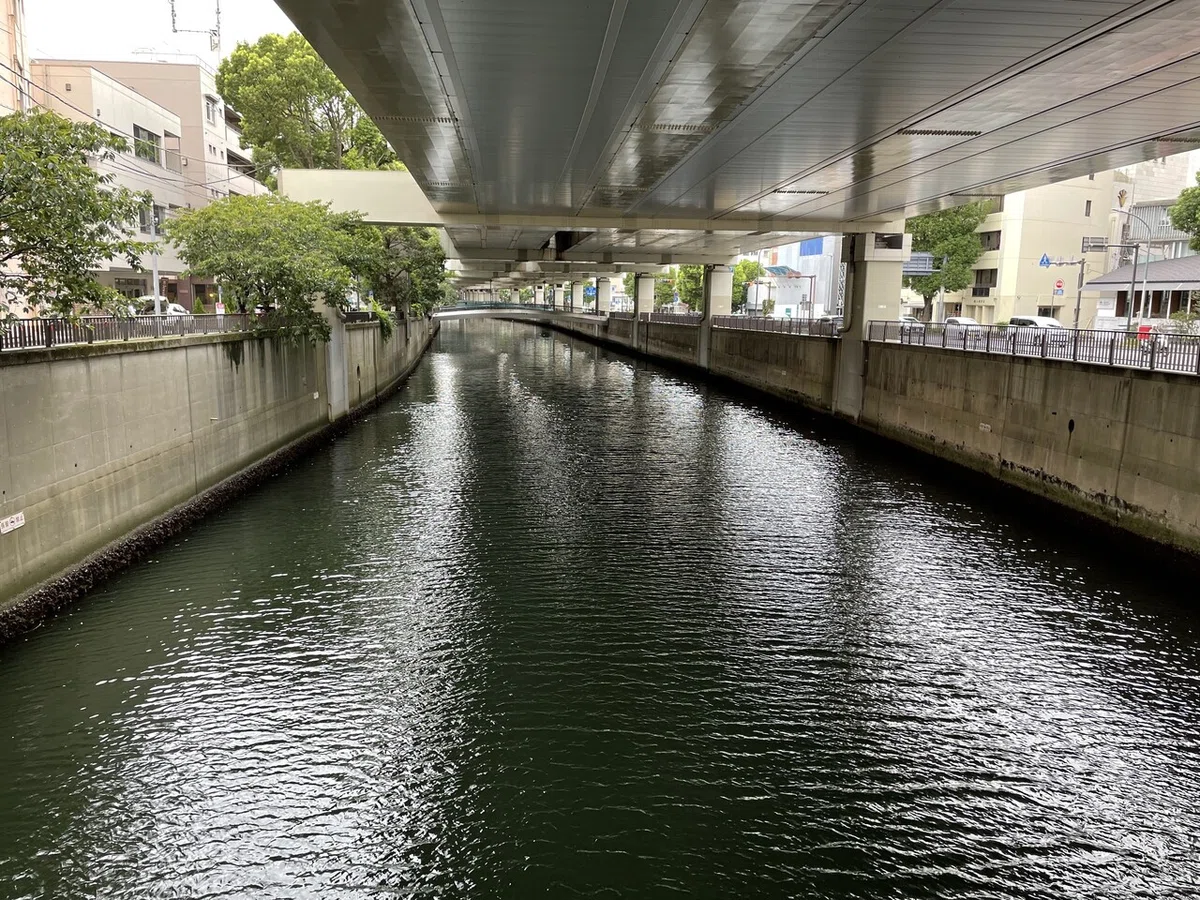 画像19