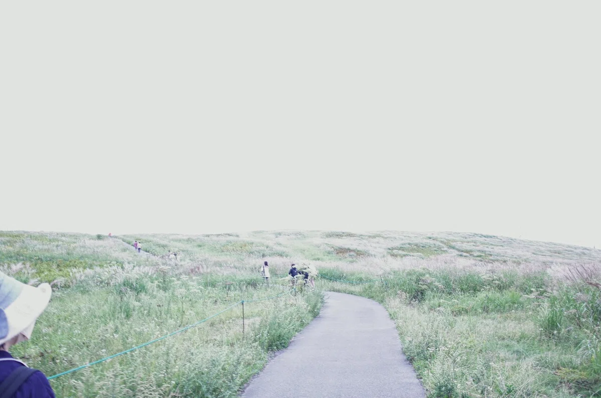 画像20