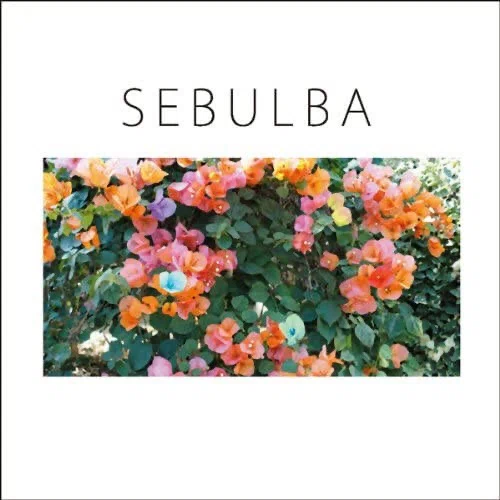 SEBULBA [2010] 踊ってばかりの国（アルバムレビュー）｜Naraide