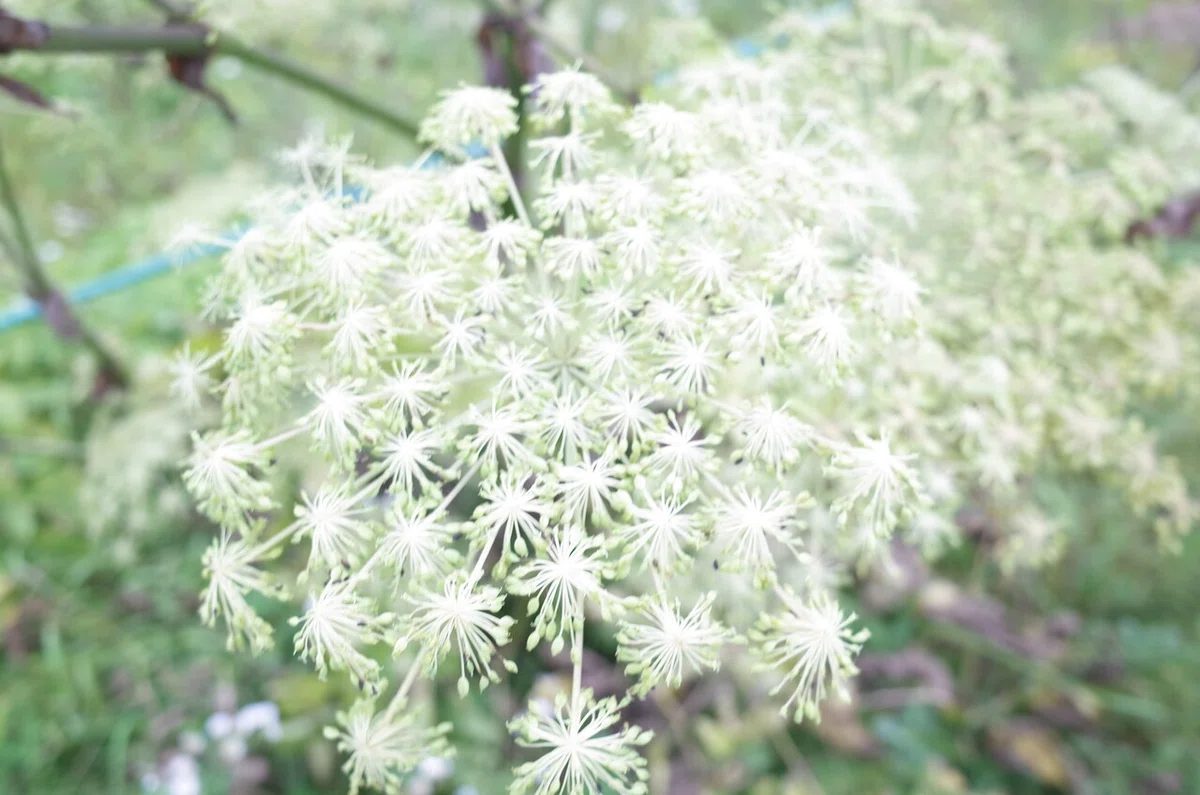 画像25
