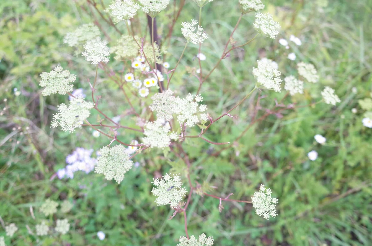 画像24