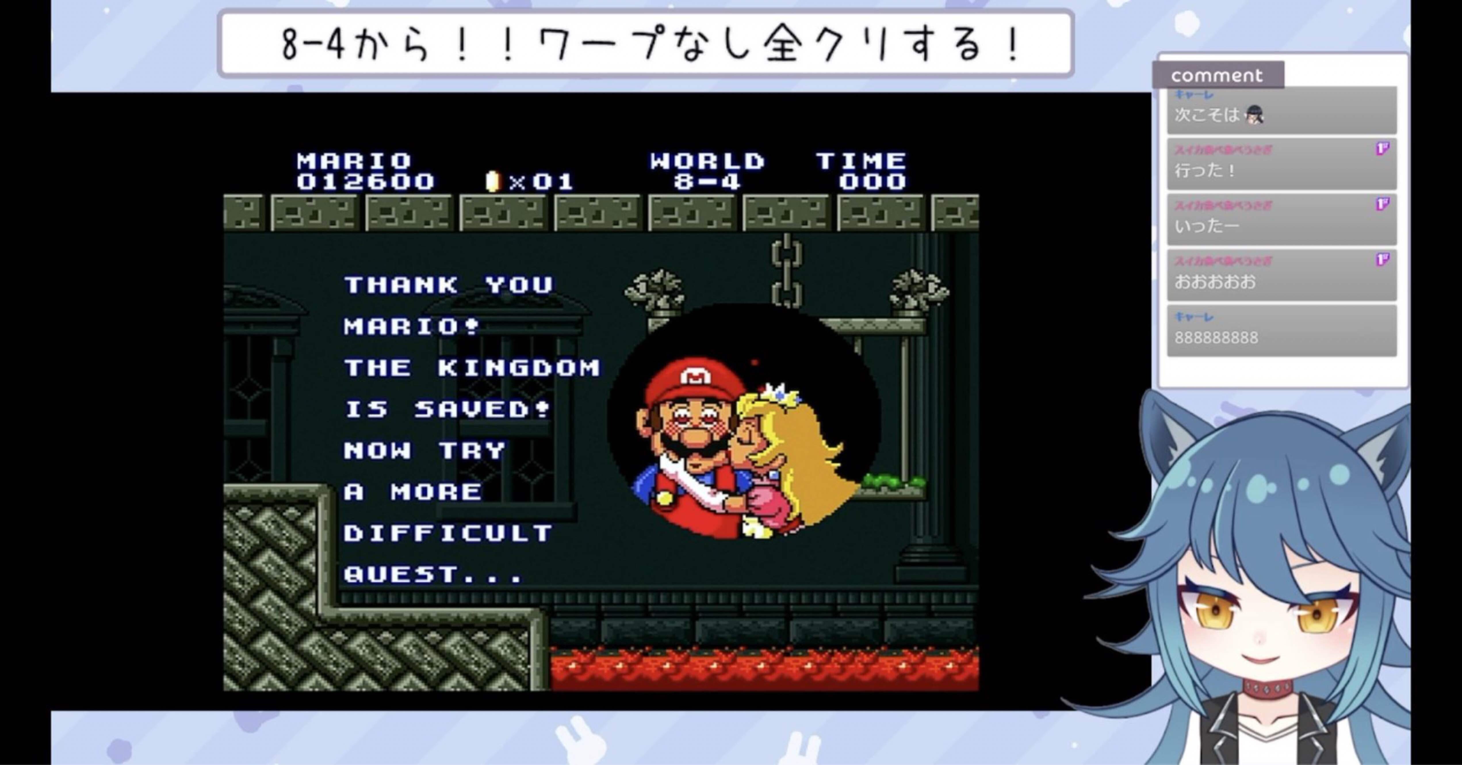 マリオコレクションのマリオ2を全ステージクリアしたので死亡数