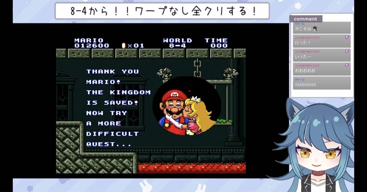 マリオコレクションのマリオ2を全ステージクリアしたので死亡数を数え 