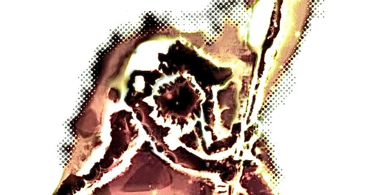 スターマン ブルーグレイ ビリー Note スターマン ブルーグレイ ビリー Note