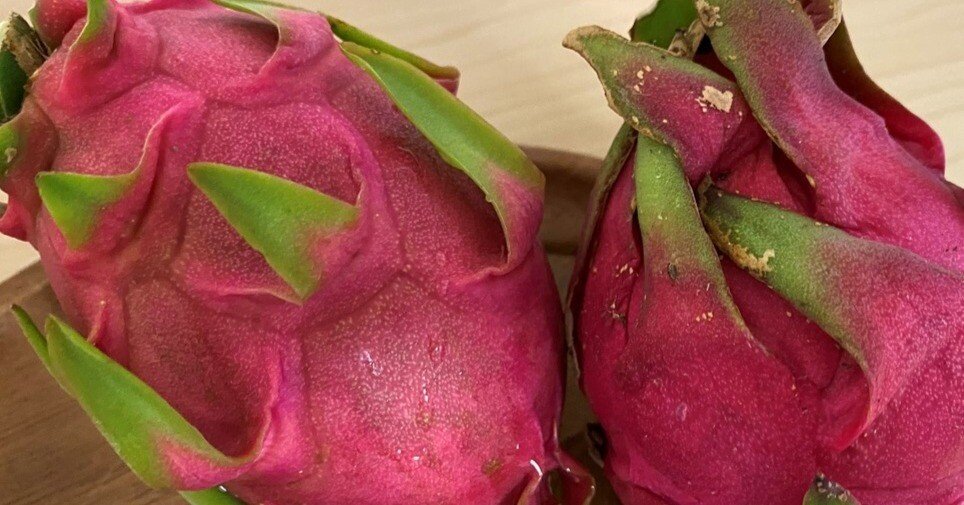 奄美の珍しい一品:ドラゴンフルーツ、……の皮の天ぷらもどき｜ハッピー