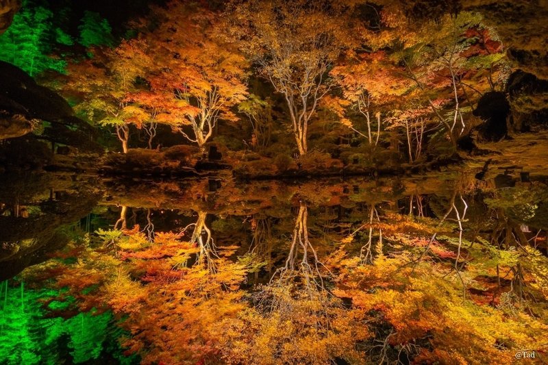 松島 円通院の紅葉ライトアップが幻想的 写真レポート 3 Tad Note 松島 円通院の紅葉ライトアップが幻想的 写真レポート 3 Tad Note