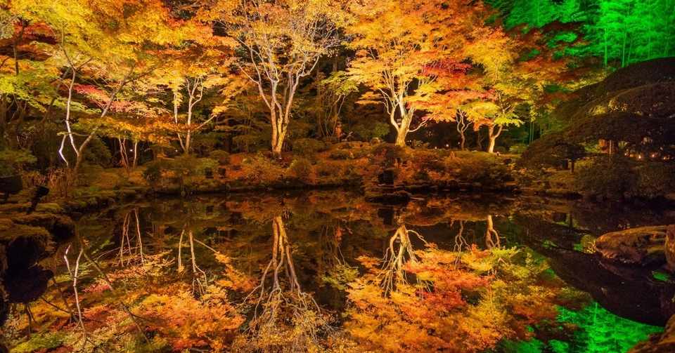 松島 円通院の紅葉ライトアップが幻想的 写真レポート 3 Tad Note