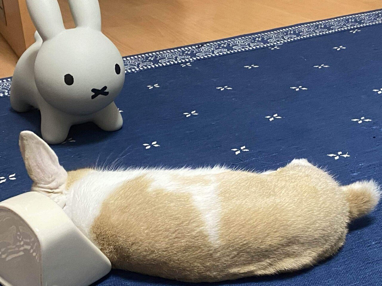 これは 台風に備える うさぎさん ベランダ玄関の片付けオッケー カーテン閉めといて 充電できるものは充電 心配なのは今日夜勤でしんちゃんと離れ離れなこと あと食糧 物流滞るのいつかなぁ あーーの Note