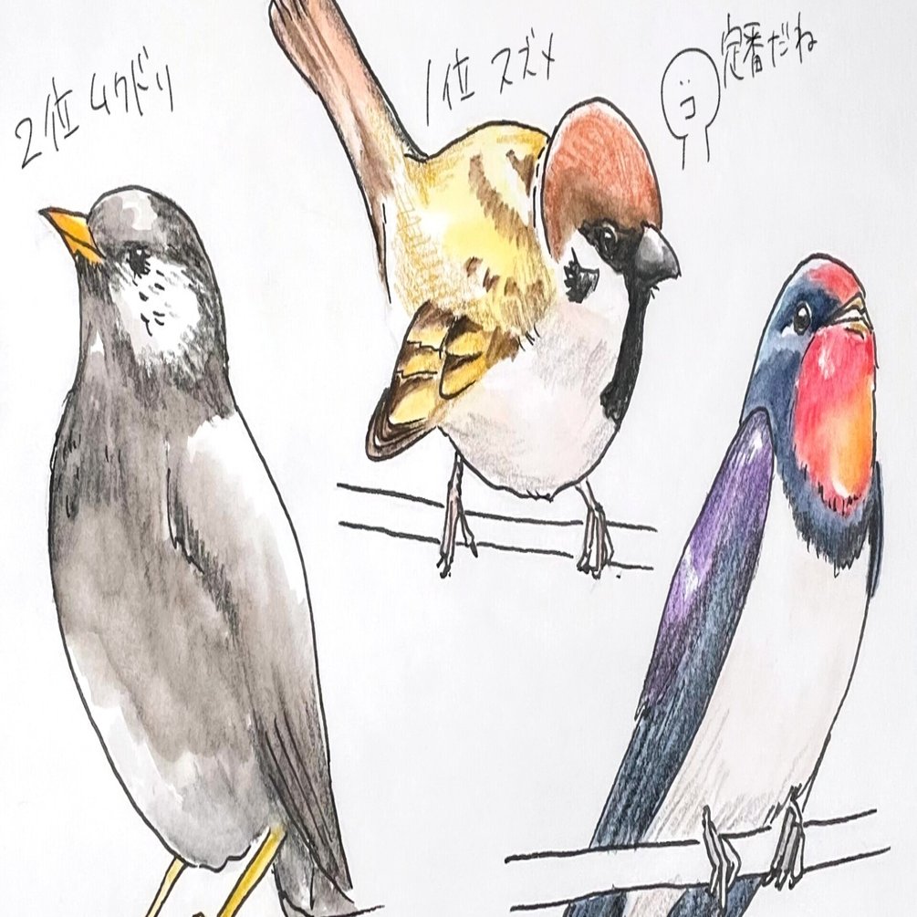 電線に止まる鳥トップ３ スズメ ムクドリ ツバメ 自然ガイドのネタ帳 くますけ Note