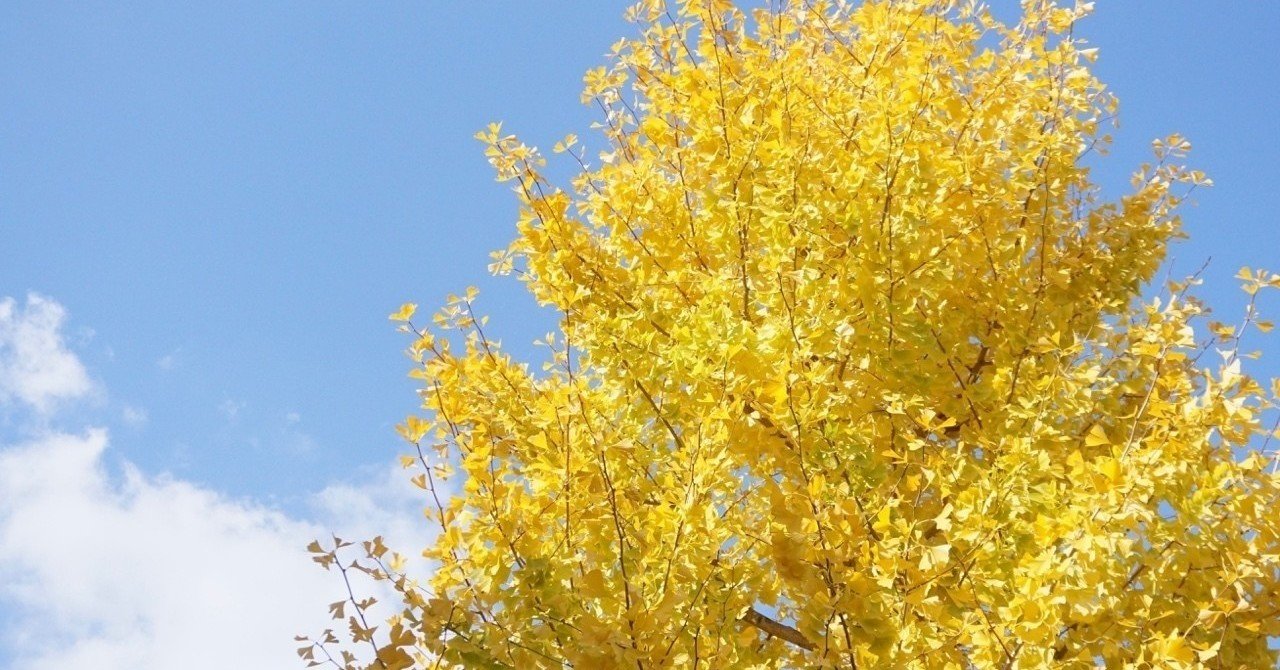 イチョウの木が揺れる 少し切ない気分 りょうかん Note