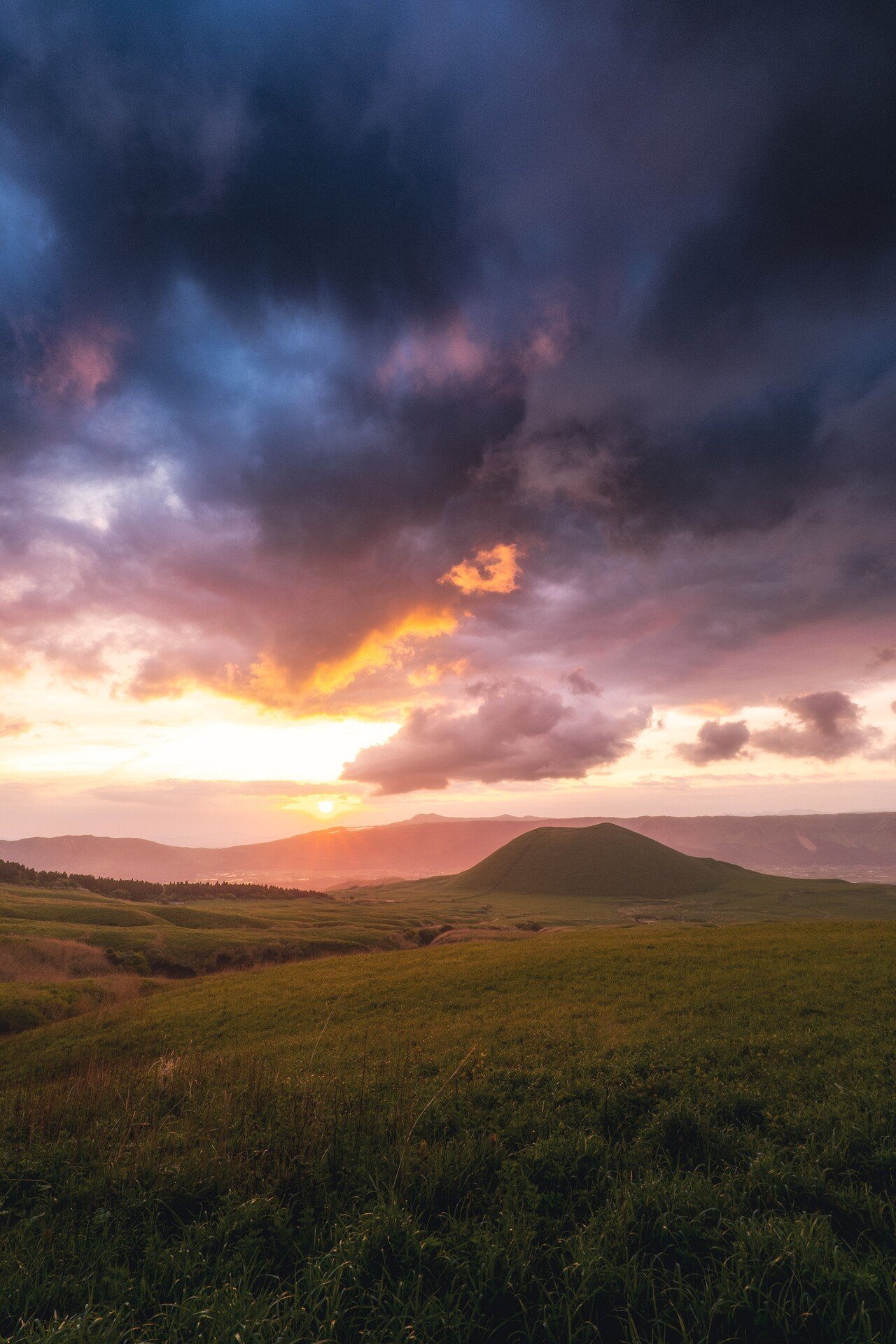 S5で撮影してきた写真を振り返りながらLUMIXの利点を考える｜関岡 大晃