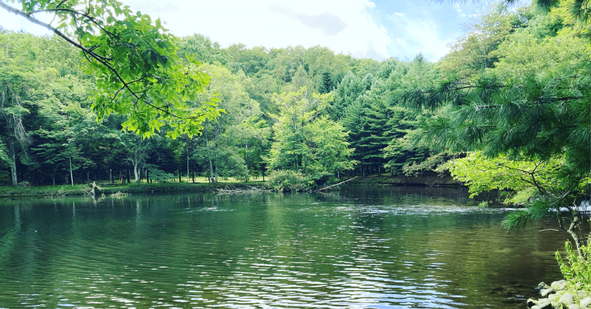 名言紹介 28 人間の機能のみに寄った にゅき N Yuki Note 名言紹介 28 人間の機能のみに寄った にゅき N Yuki Note