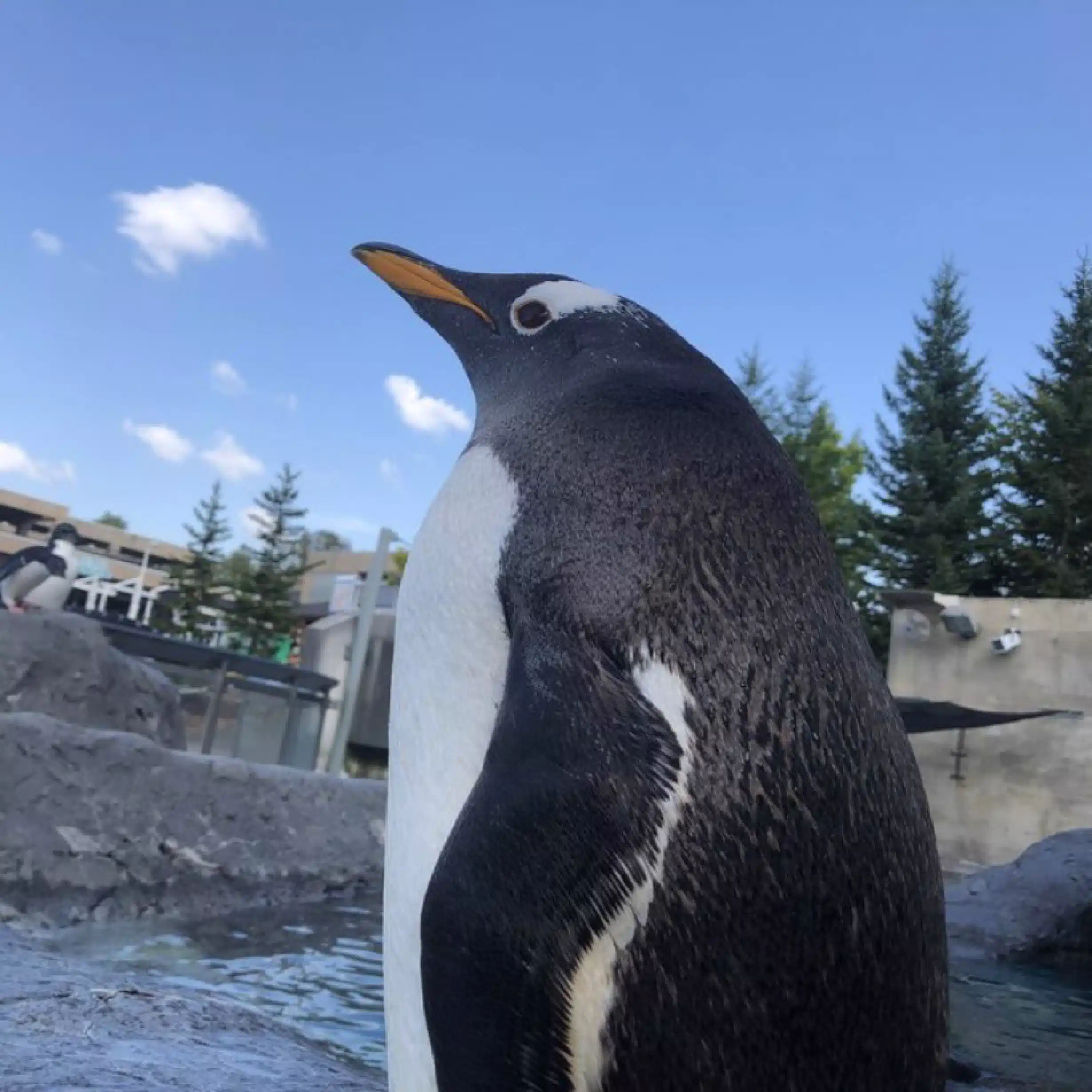 あにぼ〜