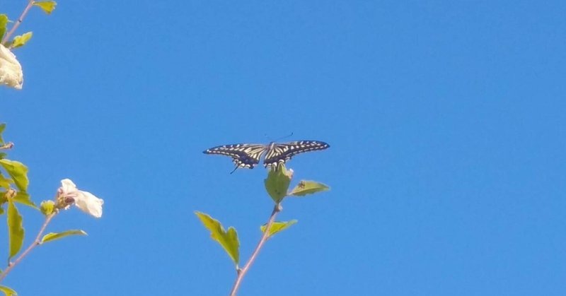 背中を押してくれる言葉 の新着タグ記事一覧 Note つくる つながる とどける