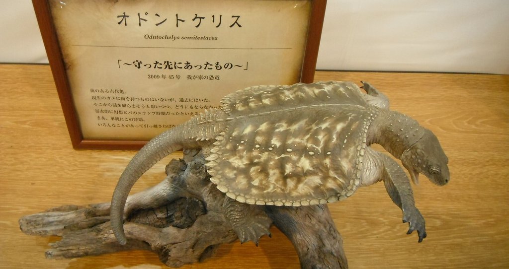 北米に関する本のレビュー集 - 妖怪|弟切千隼|note