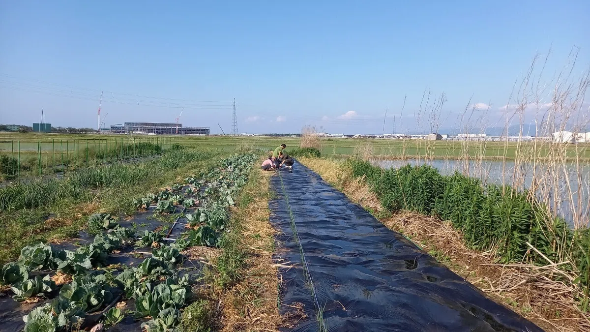 LINE_ALBUM_20220523_風来さん訪問_220901_3